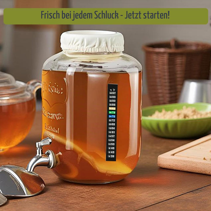 Kombucha Brauset mit 5,0L Glasfermenter &amp; Hahn – Komplett-Set mit Edelstahl-Trichter, Tuch, Temperat