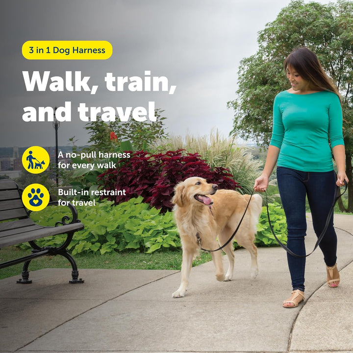 PetSafe 3in1 Harness, from The Makers of The Easy Walk Harness, Fully Adjustable No-Pull Dog Harness