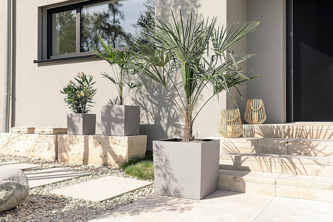 Lechuza Cube Cottage 30 Komplettset sandbraun Pflanzgefäss mit Erd-Bewässerungs-System 29.5 x 29.5 x