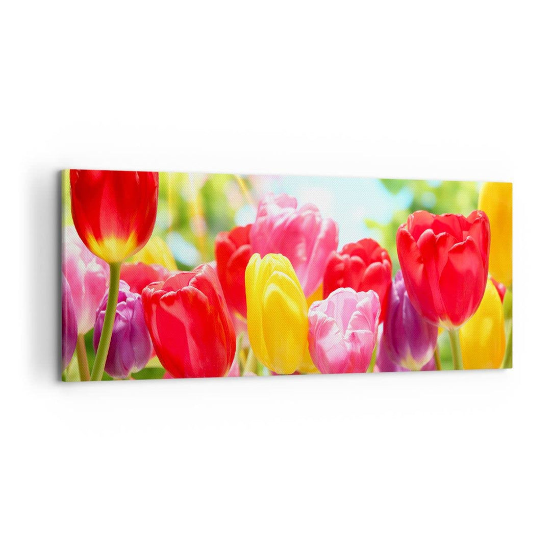 Wandbilder Dekoration Wohnzimmer Tulpe Blume Garten Plantage Panorama Bilder auf Leinwand 120x50cm L