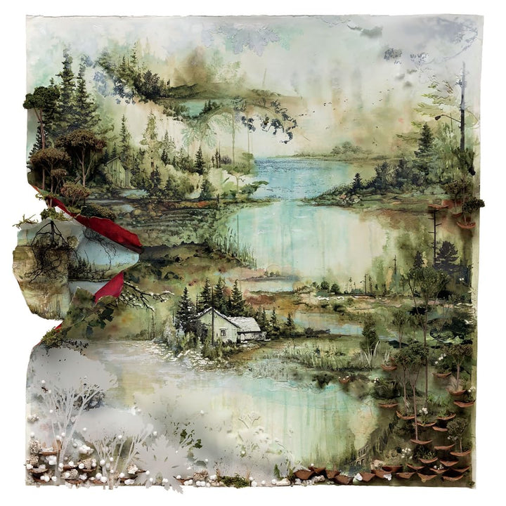 Bon Iver [Vinyl LP], Vinyl