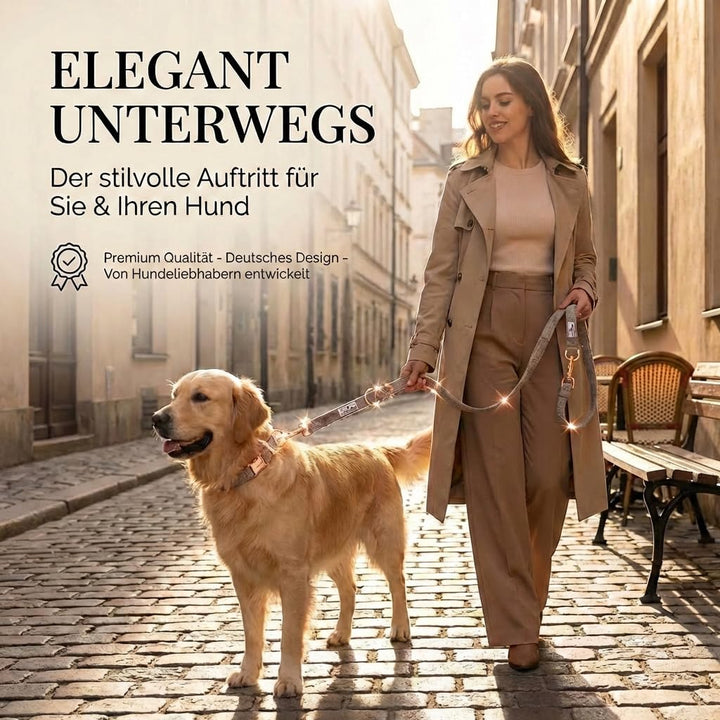 FREUDENTIER® Hundehalsband und Hundeleine im eleganten Set - 2m Leine, 3-Fach verstellbar - Robust &