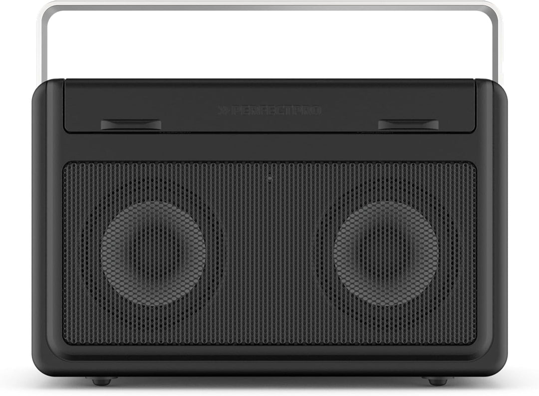 PerfectPro Baustellenradio AUDISSE, WiFi internetradio, DAB+ und UKW-Empfang, Bluetooth, Akku integr