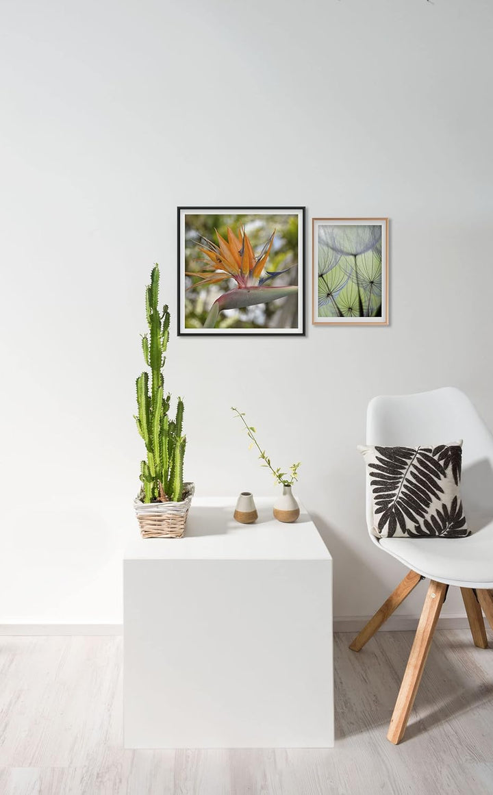 accent by nielsen Aluminium Bilderrahmen Accent, 50x60 cm, Silber Matt 50 x 60 cm Silber Matt, 50 x