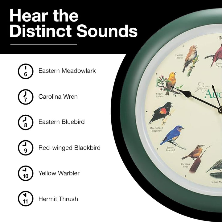 Mark Feldstein & Associates Audubon Wanduhr Singender Vogel, 33 cm 33 cm Grün, 33 cm Grün