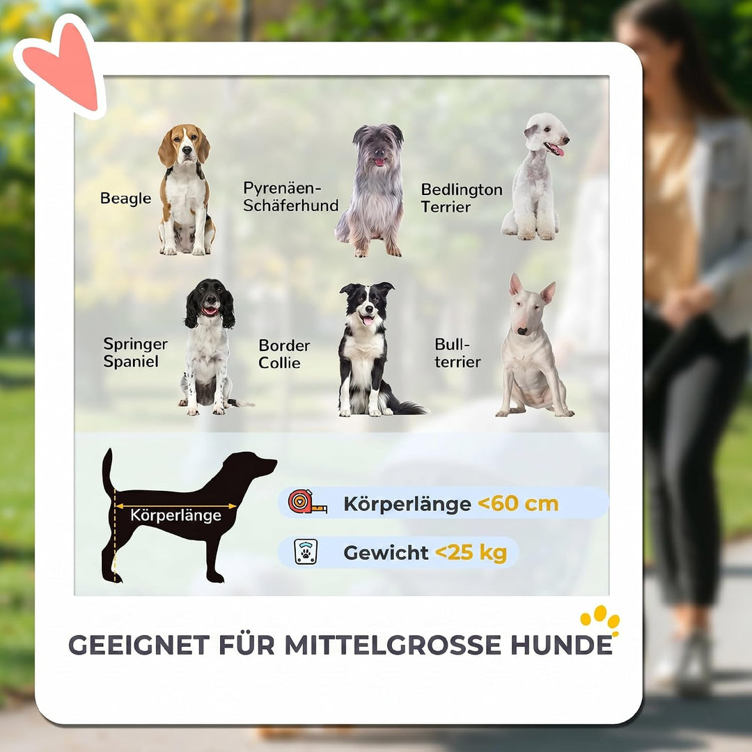 PawHut Hundewagen Hundebuggy klappbar für grosse Hunde & Katzen bis 30 kg Katzenbuggy mit Kissen Net