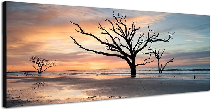 Paul Sinus Art Panoramabild auf Leinwand und Keilrahmen 150x50cm Strand Wasser Bäume Wolkenschleier