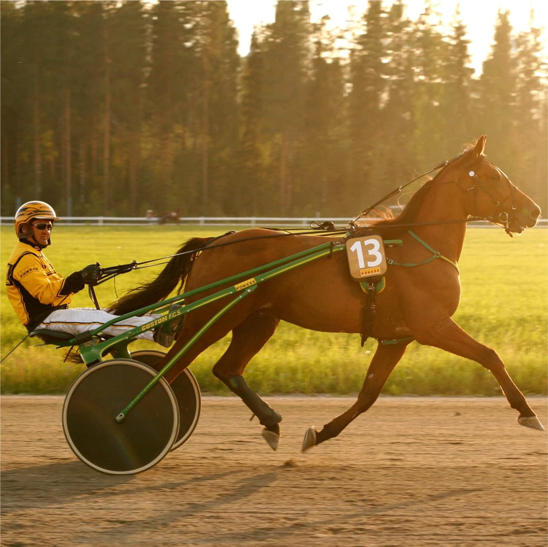 Polar Equine - Pferde, Reitsport, Trab - Gurt für H10 Herzfrequenz-Messgerät Schwarz Trab, Schwarz T