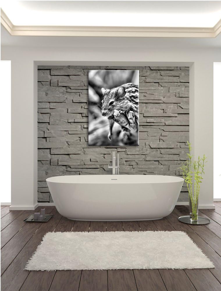 Pixxprint Monocrome, ruhende Feldmaus, Format: 100x70 auf Leinwand, 100x70