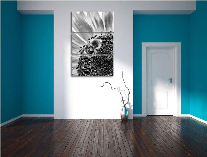 Pixxprint Monocrome, Biene auf Sonnenblume 3-Teiler Leinwandbild 120x80 Bild auf Leinwand