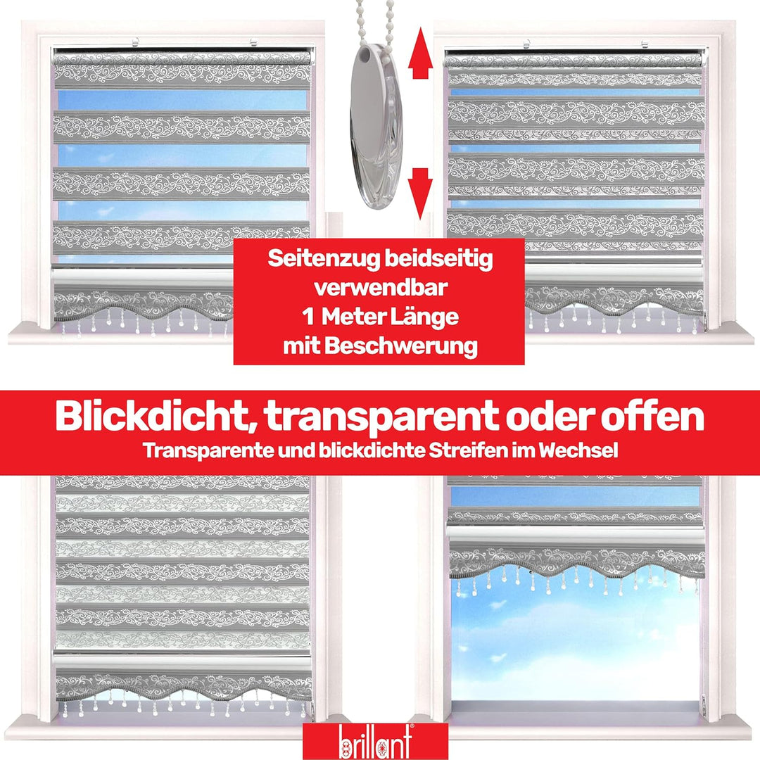 Brillant Doppelrollo Klemmfix ohne Bohren Grau Silber 200 x 70 cm (Länge x Breite) Duorollo Blickdic