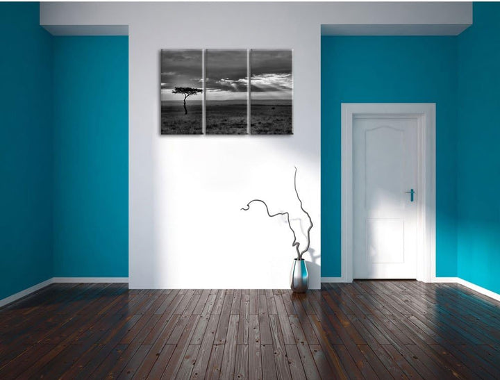 Pixxprint Monocrome, Sonneneinfall in die Savanne 3-Teiler Leinwandbild 120x80 Bild auf Leinwand