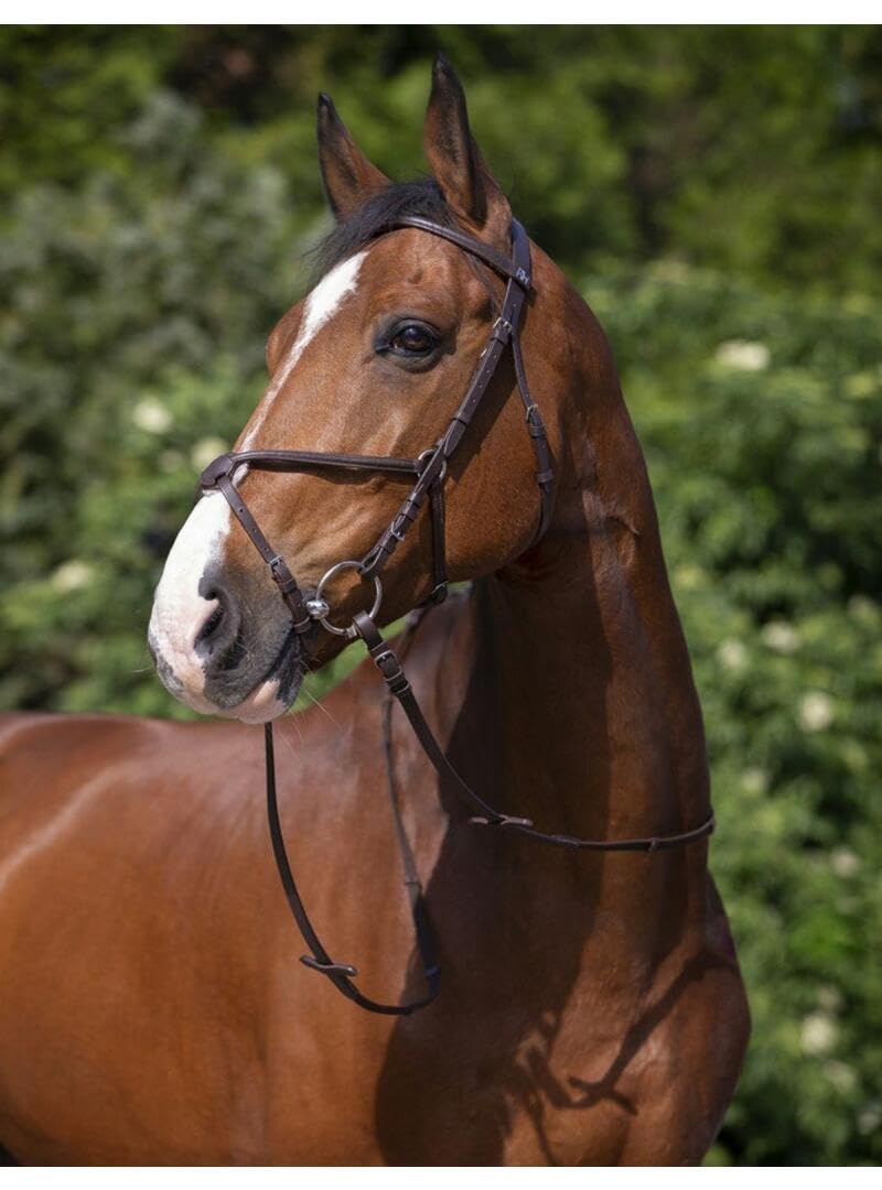 RIDING WORLD Trense Reithalfter gelbbraun Pony, gelbbraun Pony
