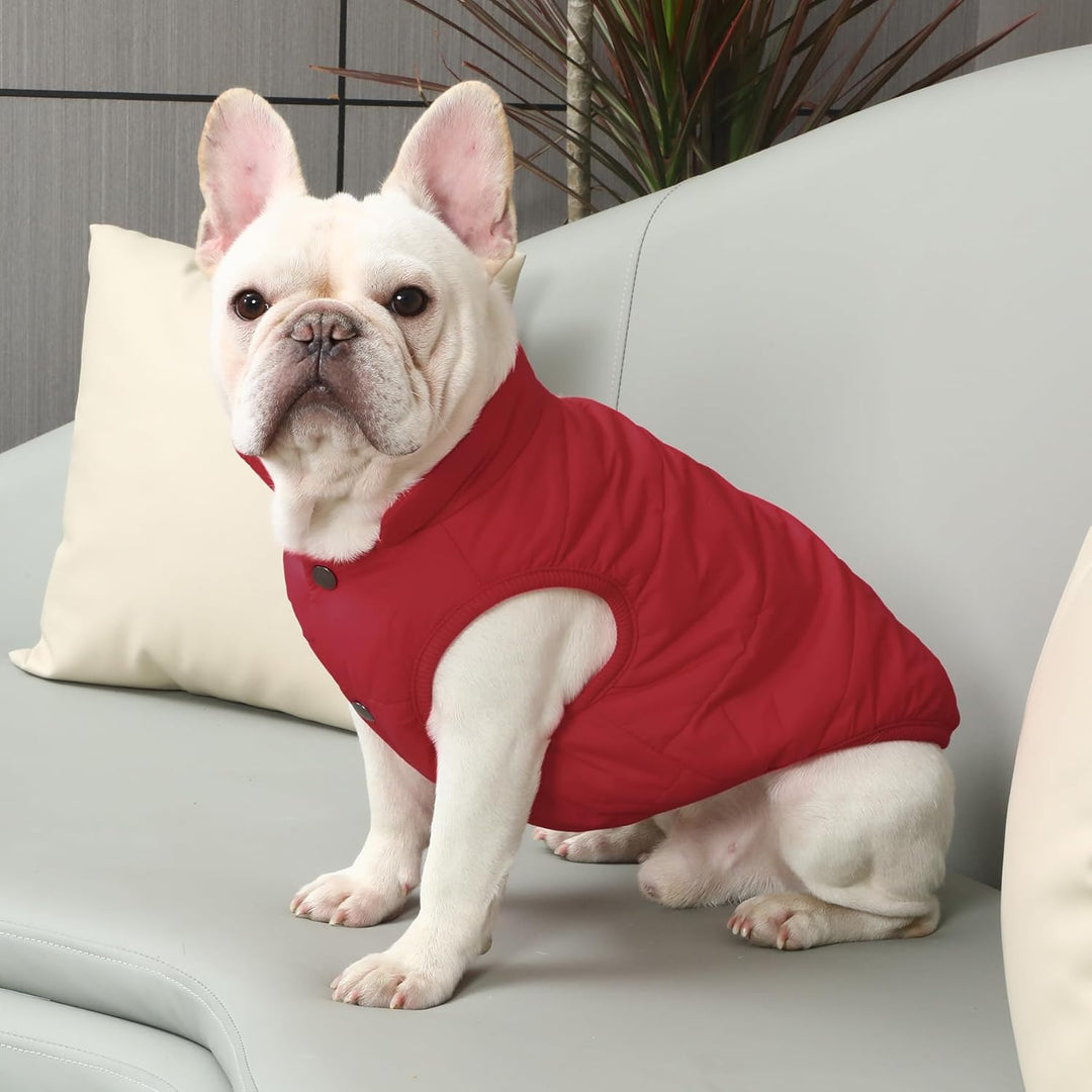 Mit Fleece gefütterte Hundejacke mit 2 Schichten von JoyDaog, sehr warm für den Winter und kaltes We