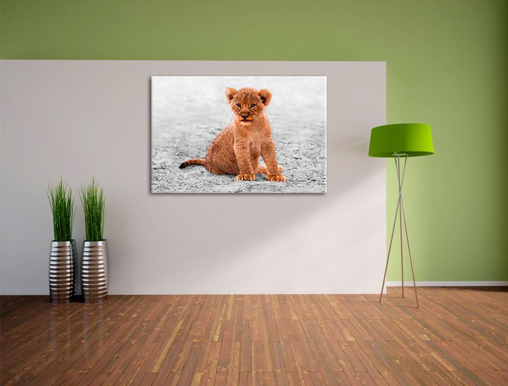 Pixxprint Verlassenes Löwenbaby als Leinwandbild/Grösse: 100x70 / Wandbild/Kunstdruck/fertig bespann