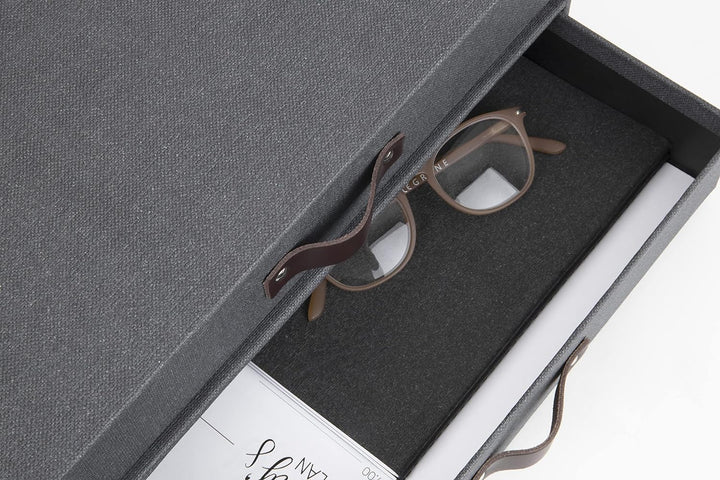 Bigso Box of Sweden Mini-Kommode für Dokumente und Büromaterial – Schreibtisch-Organizer mit 2 Schub