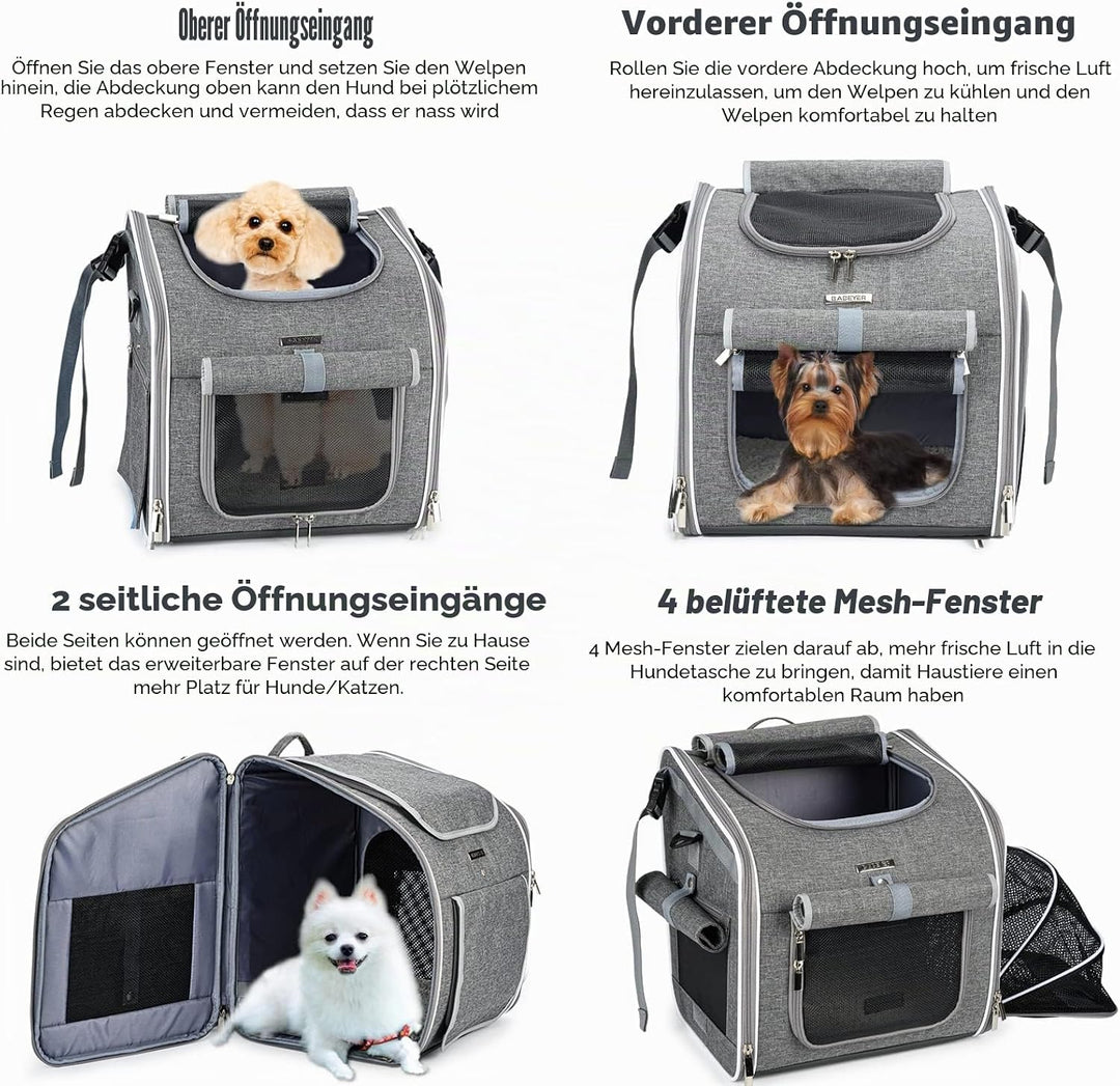 FAHRRADTRÄGER FÜR Hund