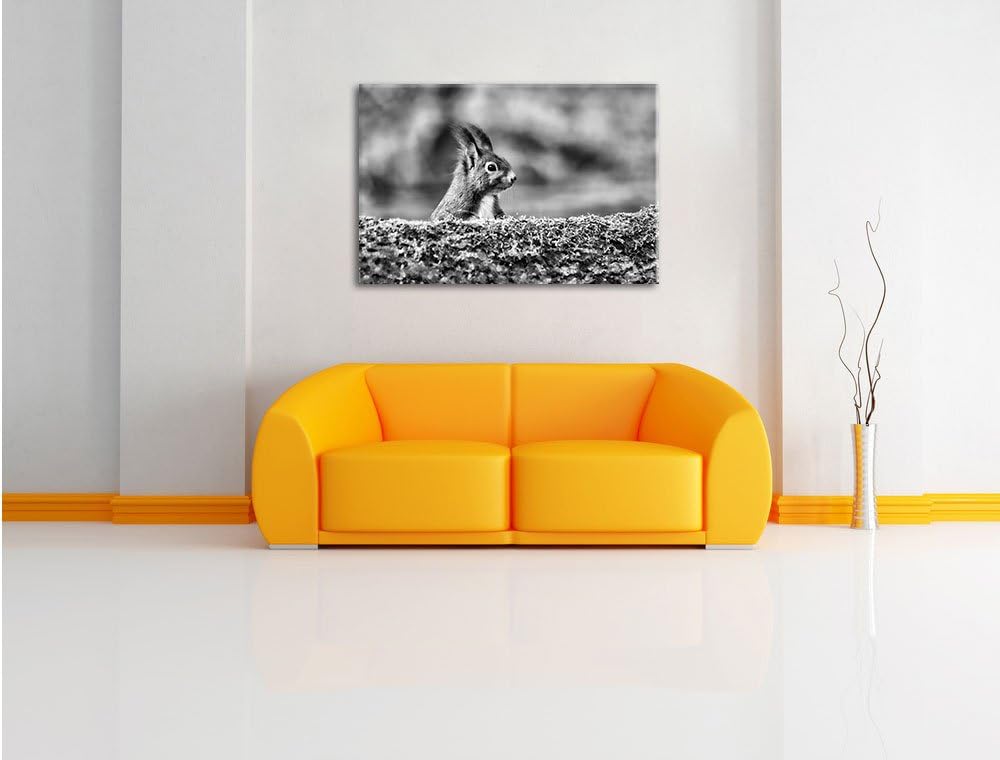 Pixxprint Eichhörnchen hinter Baumstamm als Leinwandbild/Grösse: 100x70 / Wandbild/Kunstdruck/fertig