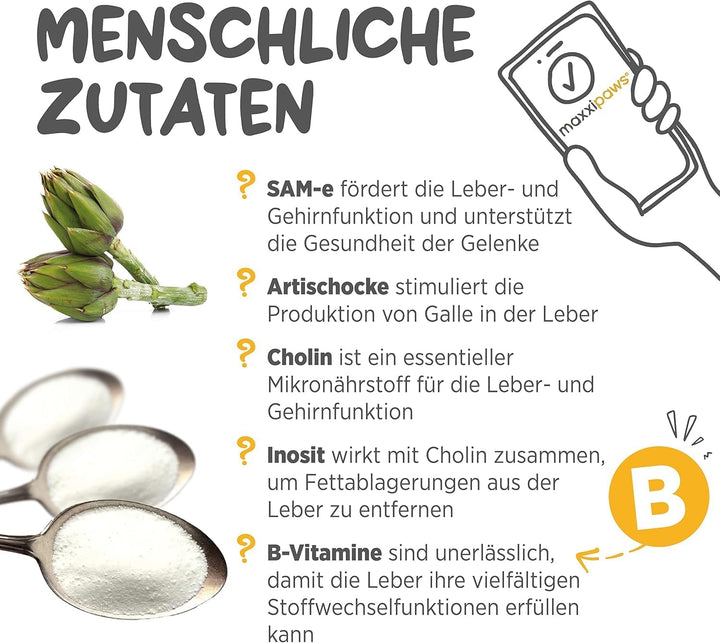 maxxipaws - maxxiSAMe SAM-e Ergänzungsfutter für Hunde -Unterstützung der Leberfunktion &amp; Kognitiver