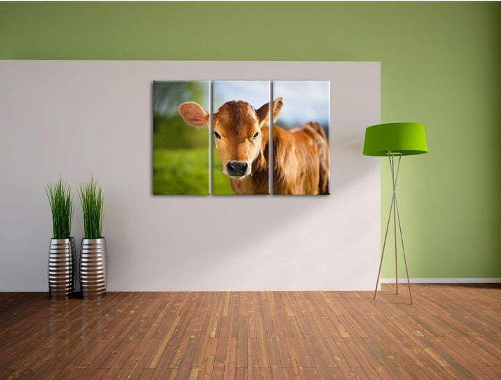 Pixxprint Junge Kuh Kälbchen als Leinwandbild - Grösse: 3-Teilig (120x80cm) - Wandbild - Kunstdruck