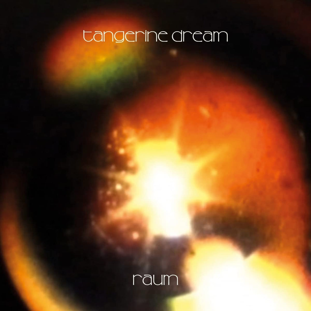 Raum (Gatefold Black 2lp) [Vinyl LP], Vinyl