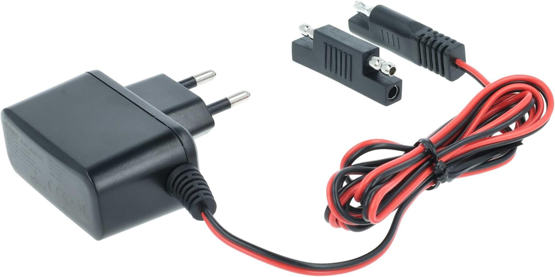 vhbw Ladegerät für Starter Akkus für Rasenmäher, 12 V / 0,1 A, 2m