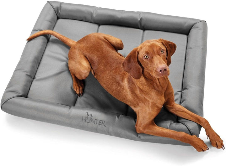HUNTER Vermont Hundematte, Polyester, robust und schmutzabweisend, gepolstert, 90 x 60 cm, grau grau