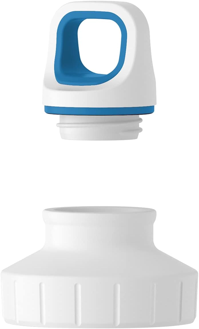 Emsa N30103 Trinkflasche Drink2Go Light Steel | 0,6 L | Edelstahl | Schraubverschluss | 100% auslauf