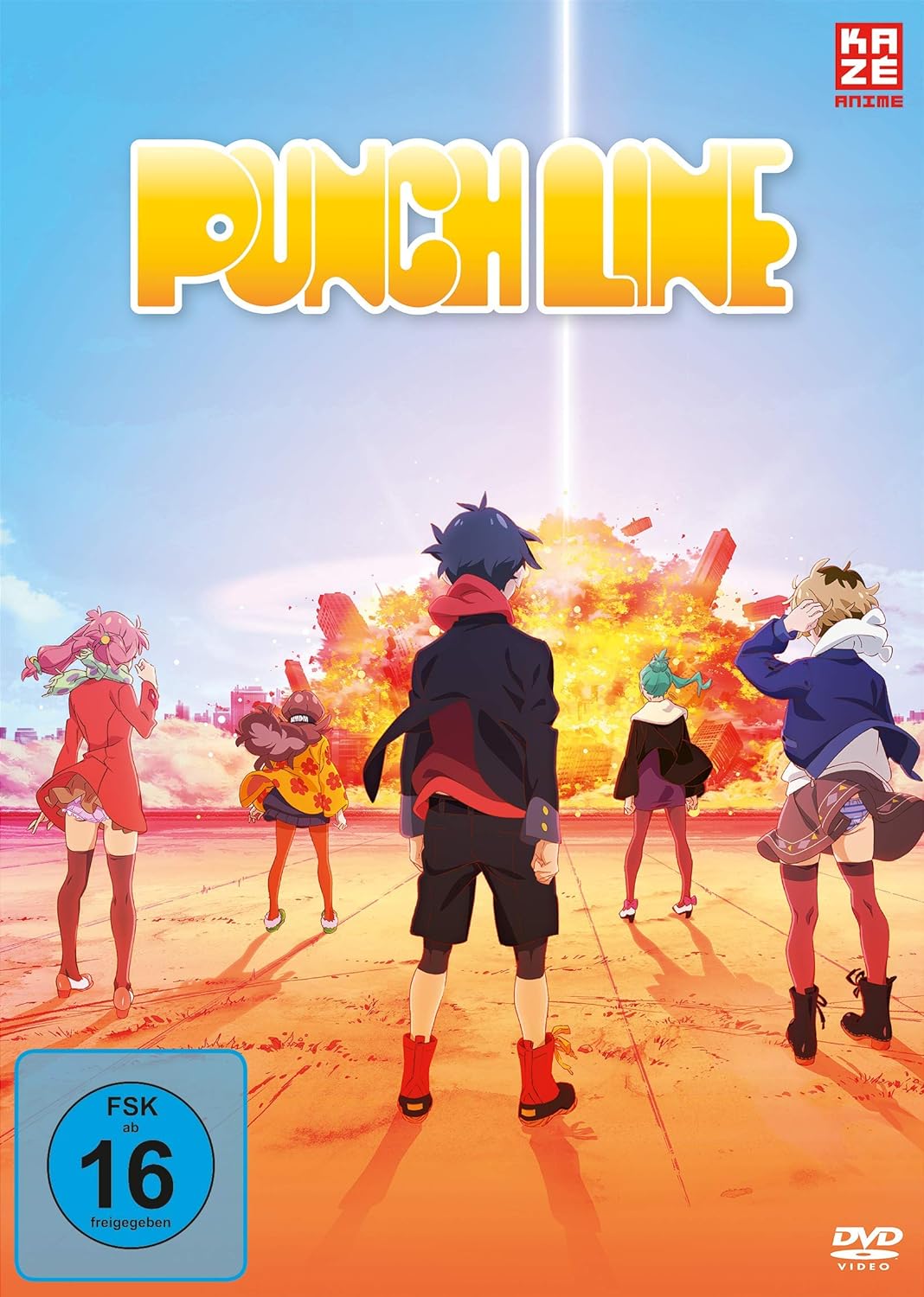 Punch Line - Gesamtausgabe - [DVD], DVD