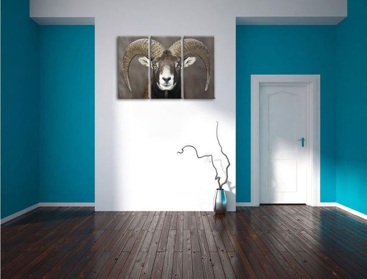 Pixxprint Mufflon Porträt als Leinwandbild/Grösse: 3 Teilig (120x80) cm/Wandbild/Kunstdruck/fertig b