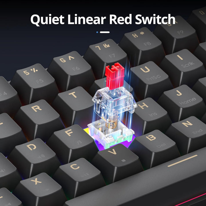 SbocKeeb Gaming Tastatur Mechanische, Mini Tastatur 60 Prozent Amerïka QWERTY, 61 Tasten Kabelgebund