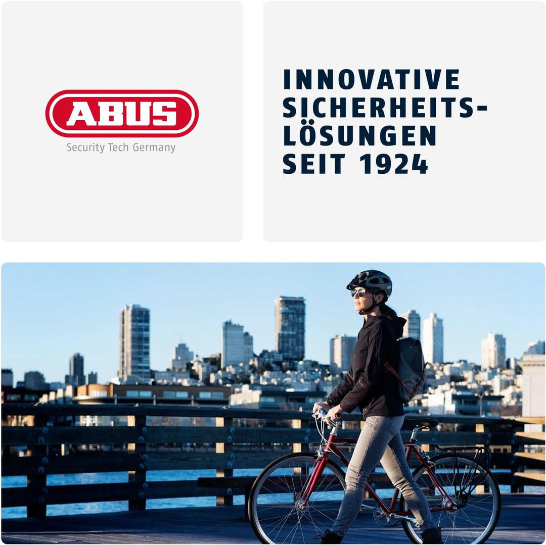ABUS Kettenschloss Steel-O-Chain 880 – Fahrradschloss aus gehärtetem Stahl – ABUS-Sicherheitslevel 8