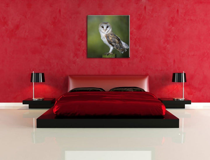 Pixxprint Eule, Format: 70x70 auf Leinwand, XXL riesige Bilder fertig gerahmt mit Keilrahmen, Kunstd