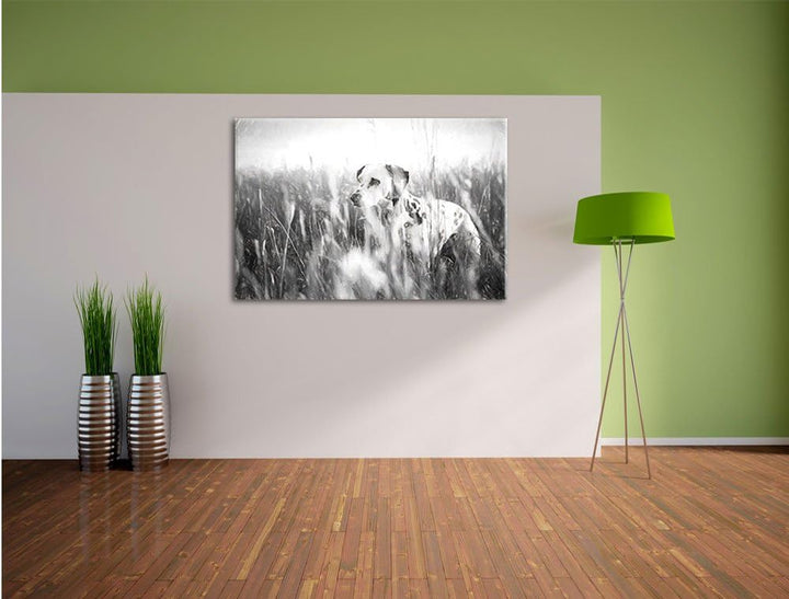 Pixxprint Neugieriger Hund im Feld Kunst als Leinwandbild/Grösse: 100x70 / Wandbild/Kunstdruck/ferti