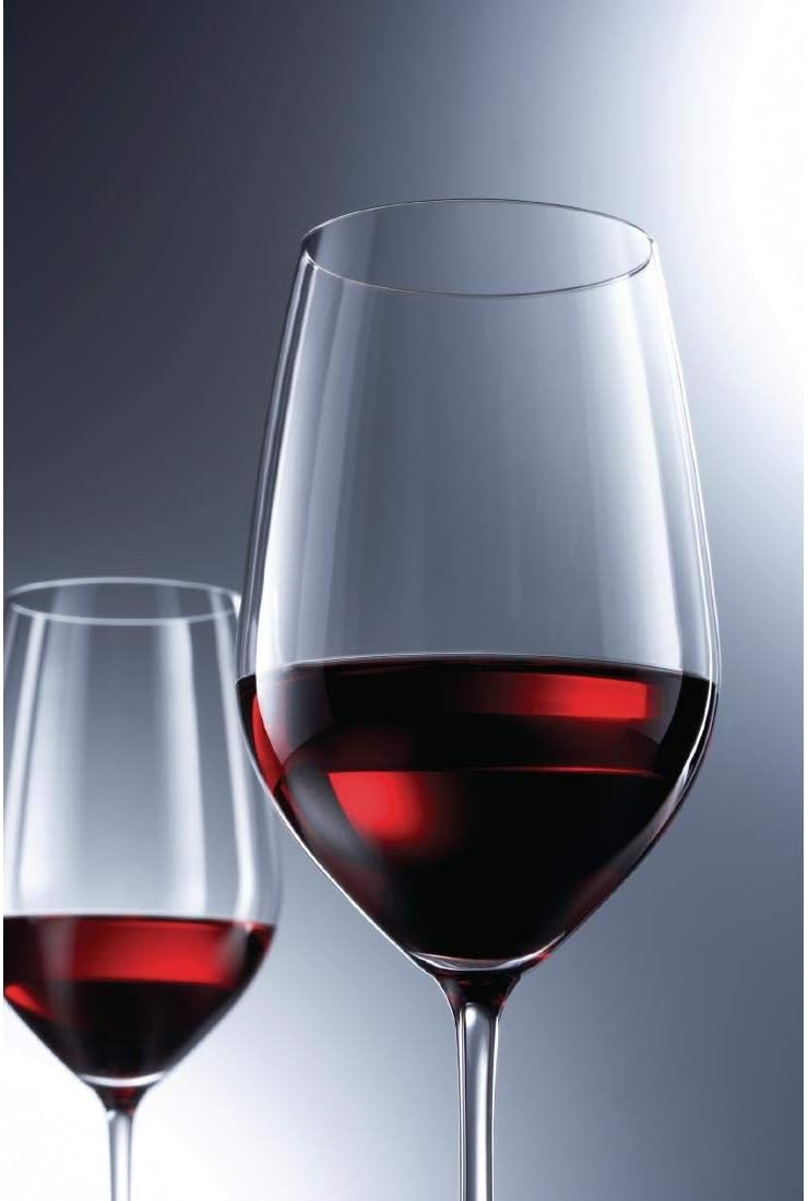 Schott Zwiesel 141531 Vina Bourgogne Wijnglas, 0.4 L, 6 Stück