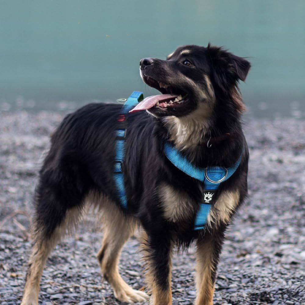TSPRO Taktisches Hundegeschirr mit Griff, Schnellverschluss-Metallverschluss Schwerlast Hund Geschir
