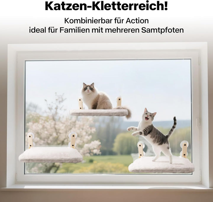 Pet Prime Katzen Fensterliege – 85mm Saugnäpfe &amp; 20kg Tragkraft, Edelstahl-Gestell, 2 Abnehmbare Bez