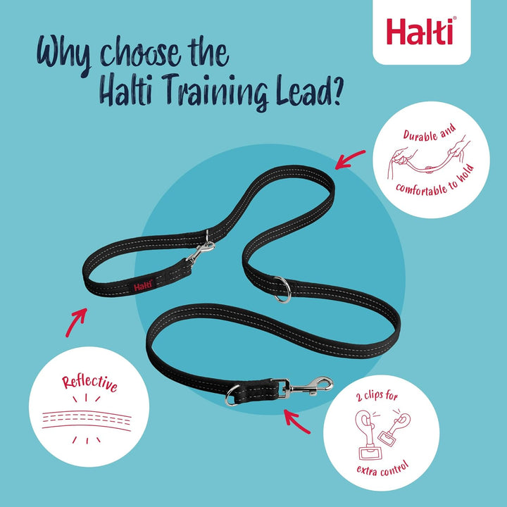 Company of Animals Halti Front Control Gurt und Trainingsleine Kombipackung, Medium Harness, schwarz