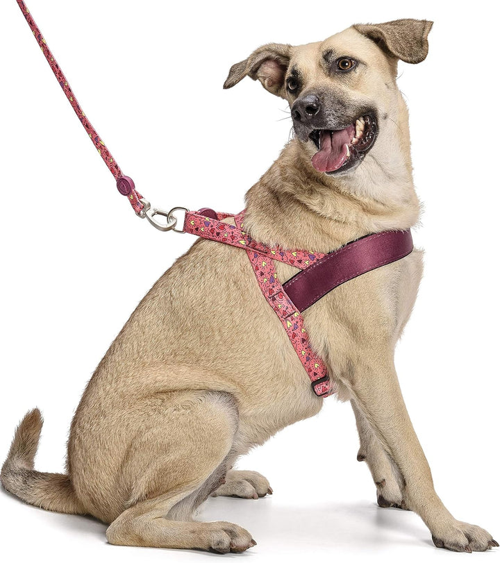 MORSO 7037 Norweger Hundegeschirr, M, M