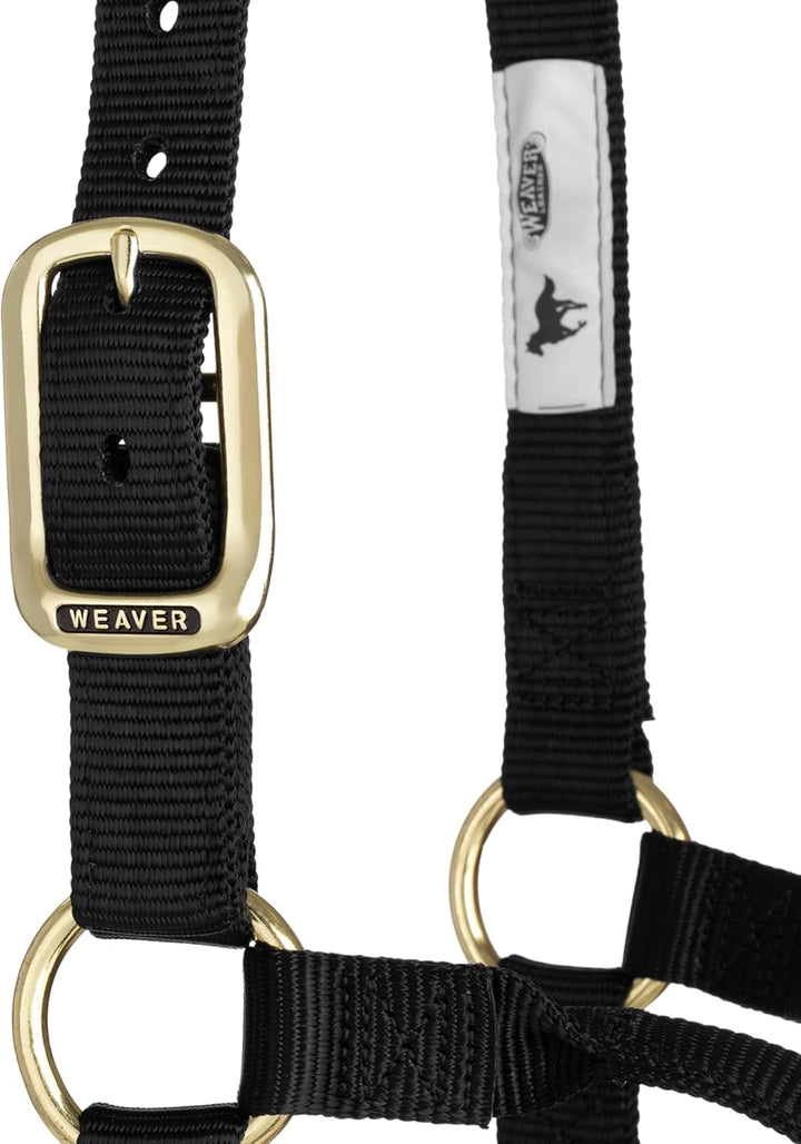 WEAVER Leather, Nicht verstellbares Halfter Schwarz Small Horse, Schwarz Small Horse
