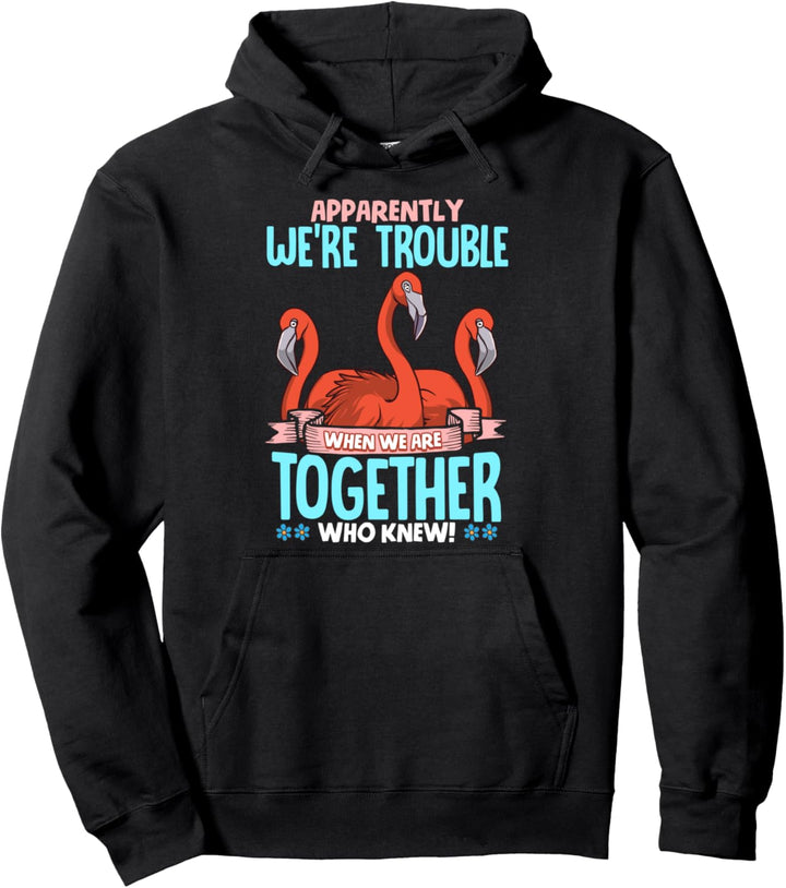 Apparently We're Trouble When We Are Together Flamingos Pullover Hoodie