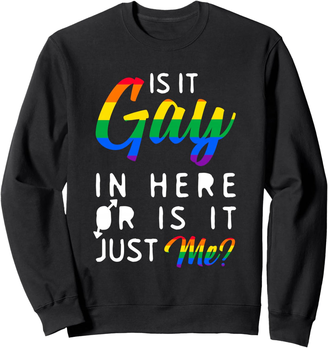 Gay Pride Monat Regenbogen Fahne Sprüche Schwulen LGBTQ Sweatshirt