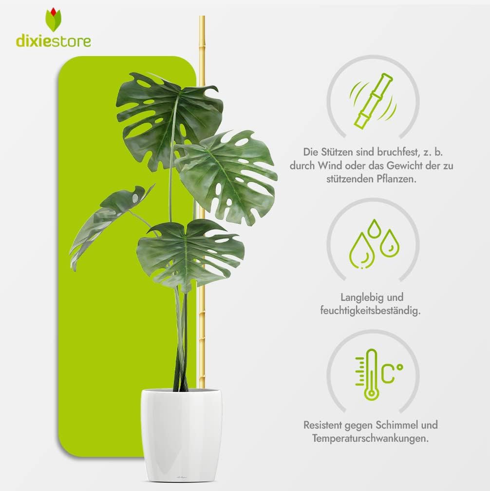 Dixiestore Bambusstäbe - Bambusstangen Set Blumenstützen - Robuste Pflanzenstäben aus Bambus 180 cm