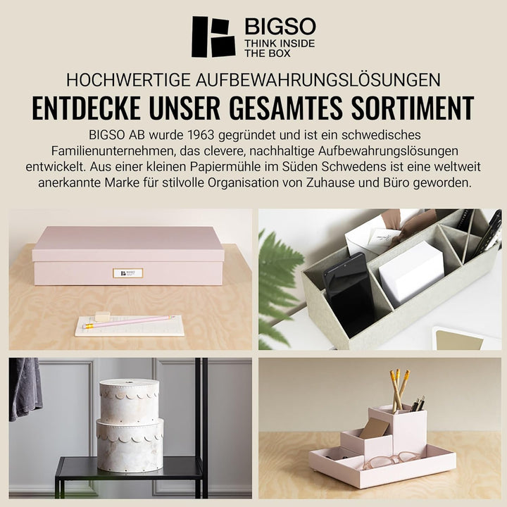 BIGSO JOHAN Hängeregisterbox A4 – Hängemappenbox mit Deckel und Griff – Schreibtischablage für Hänge