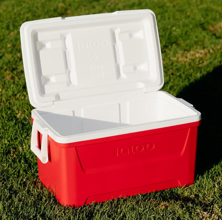 Igloo Passive Mini-Kühlbox Laguna 45 Liter, 45 Liter