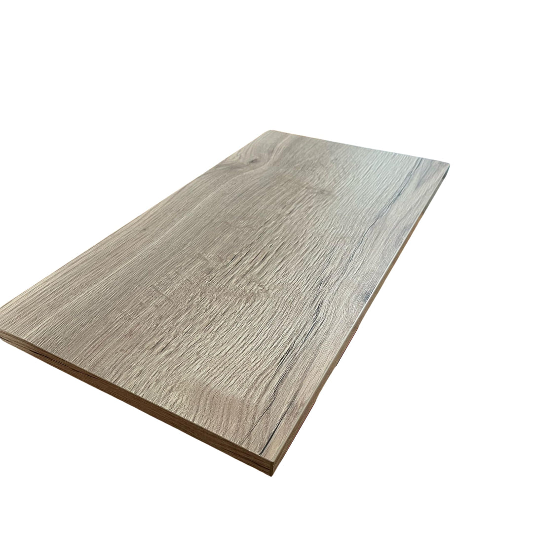1 Stück Regalboden Einlegeboden WILD-Eiche 567 x 290 mm (L 56,7 cm x B 29,0 cm) Fachboden für 60 cm