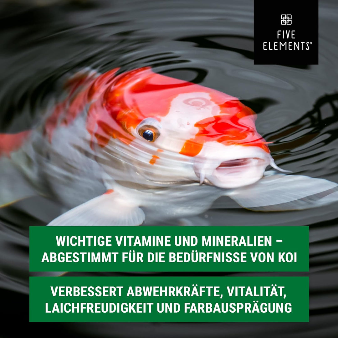 FIVE ELEMENTS Koi-Vitamine | 5,0 l flüssig | wichtige Vitamine und Mineralien | verbessert Abwehrkrä
