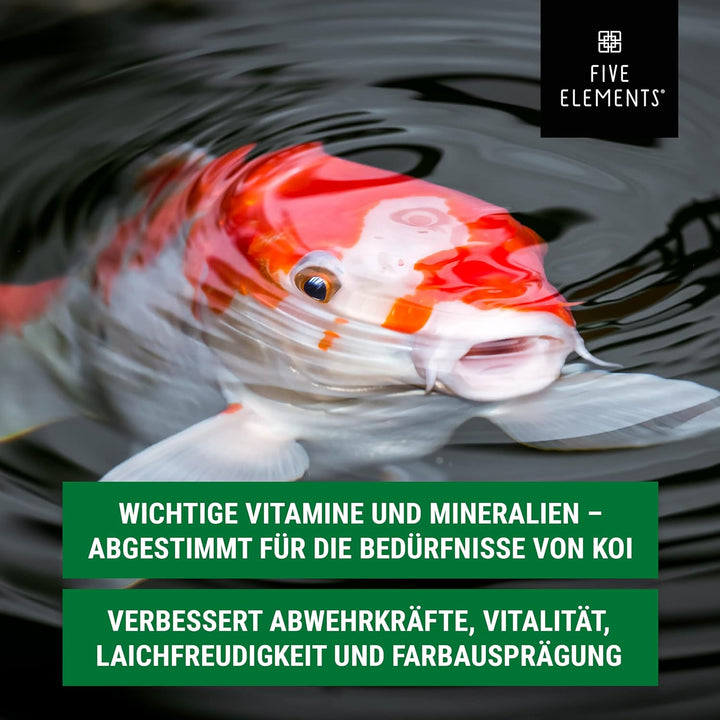 FIVE ELEMENTS Koi-Vitamine | 5,0 l flüssig | wichtige Vitamine und Mineralien | verbessert Abwehrkrä