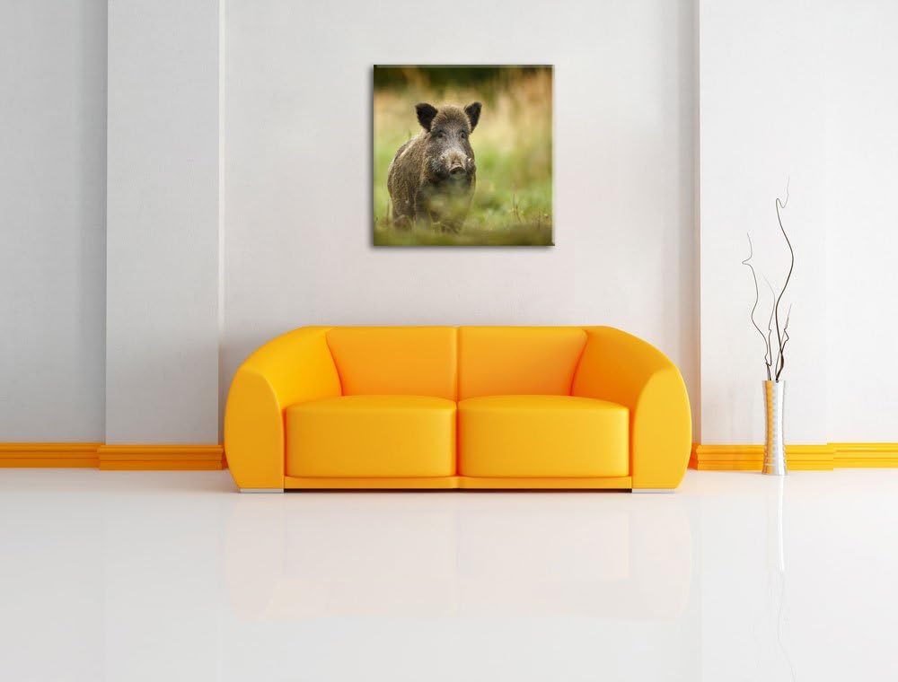 Pixxprint Stolzes Wildschwein im Wald als Leinwandbild/Grösse: 70x70 cm/Wandbild/Kunstdruck/fertig b