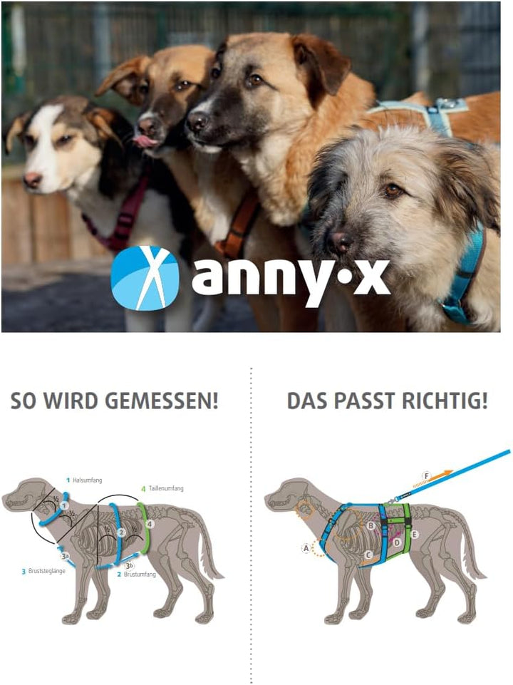 Anny-X Brustgeschirr Fun | Farbe Schneeball | Hundegeschirr in Grösse M (Brustumfang 62-74 cm) (Schn